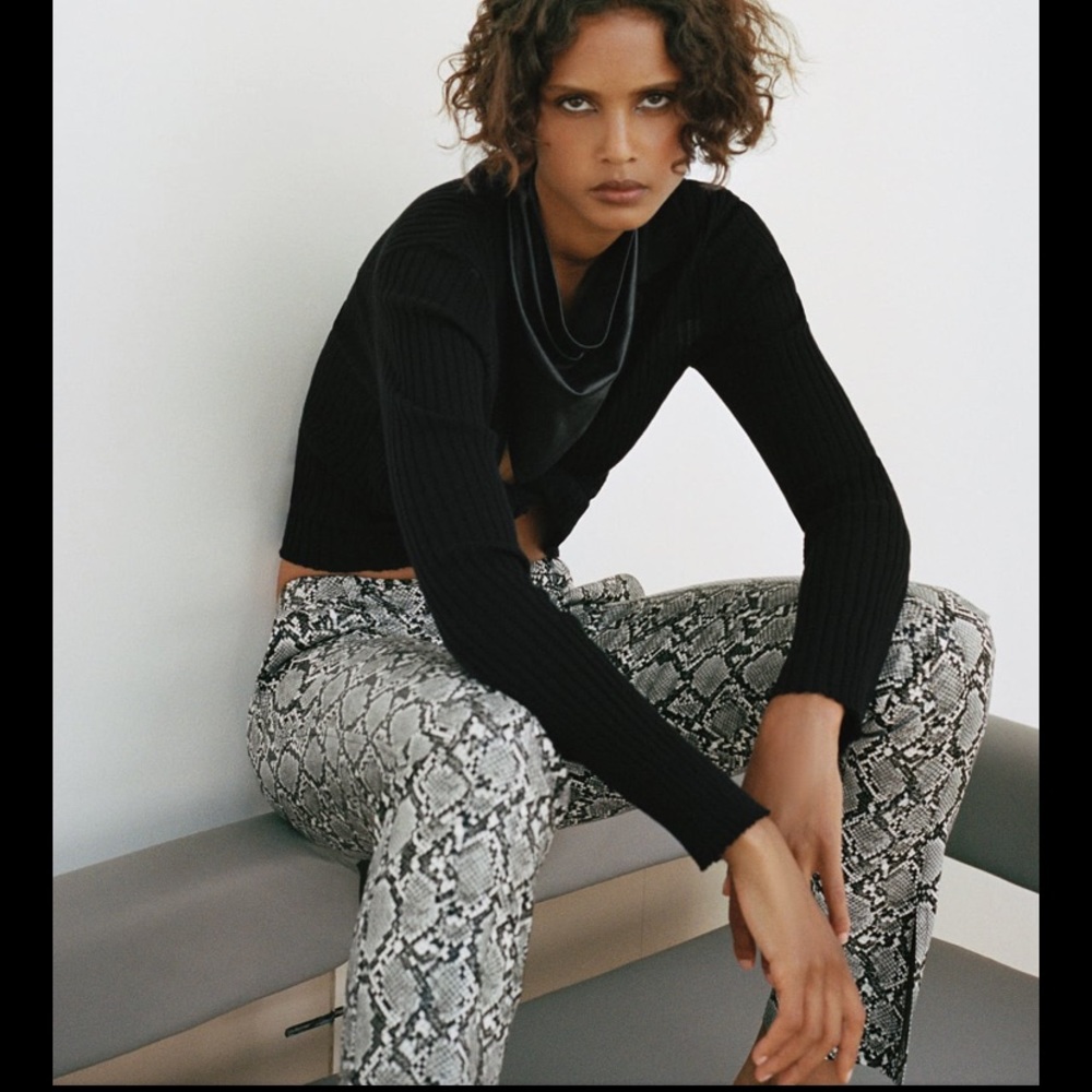 Zara pants